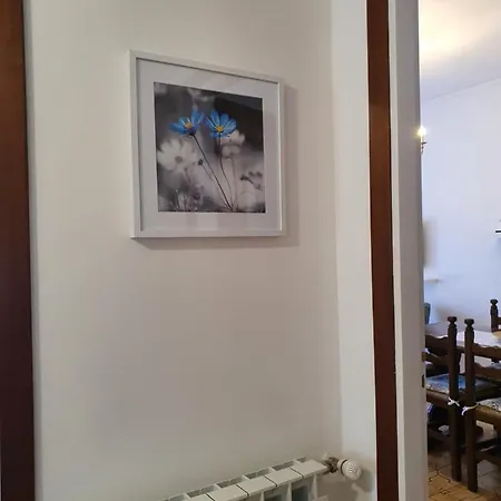 Apartmán Blue Daisy *